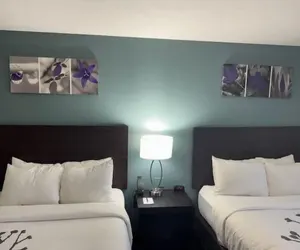 Photo 4 - Sleep Inn Marion - Cedar Rapids