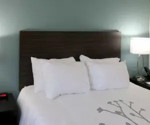 Photo 5 - Sleep Inn Marion - Cedar Rapids