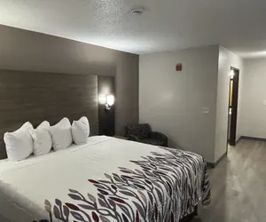 Photo 4 - Red Roof Inn & Suites Hammond, IN