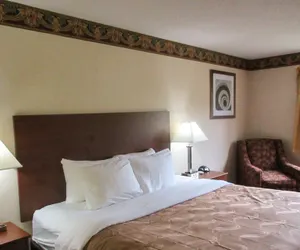 Photo 4 - Quality Inn