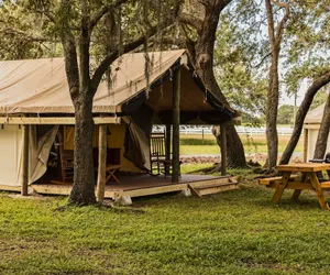 Photo 3 - Westgate River Ranch Resort & Rodeo