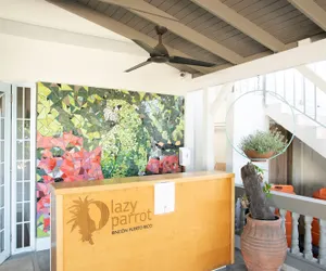 Photo 3 - Lazy Parrot Inn