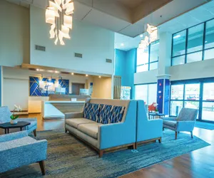Photo 4 - Holiday Inn Express Hotel & Suites Tampa Northwest - Oldsmar by IHG