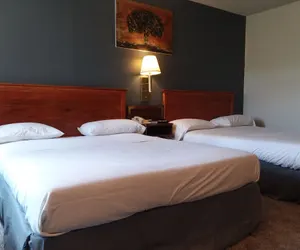 Photo 4 - Americas Best Value Inn Laramie