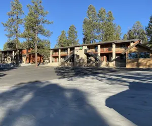 Photo 2 - Motel In The Pines