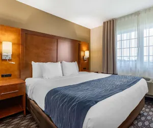 Photo 5 - Comfort Inn Story City