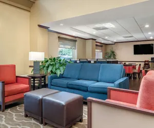 Photo 4 - Comfort Inn & Suites Suwanee - Sugarloaf