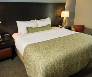 Photo 3 - Staybridge Suites Lexington, an IHG Hotel