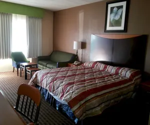 Photo 4 - Diamond Inn and Suites