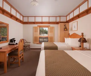 Photo 5 - Old Faithful Snow Lodge & Cabins - Inside the Park