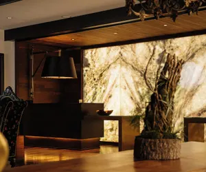 Photo 3 - Grand Bohemian Mountain Brook, Autograph Collection