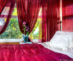 Photo 2 - Cliff Crest Bed & Breakfast