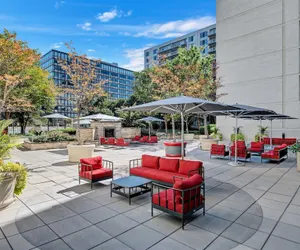 Photo 4 - Bright Comfort in DC Apts