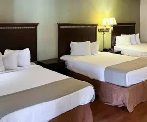 Photo 5 - Motel 6 Abbeville, AL