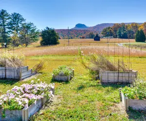 Photo 3 - Beautiful Farmhouse w/ Pilot Mtn State Park Views!