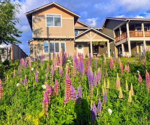 Photo 2 - Central Tacoma Homestay -private room-