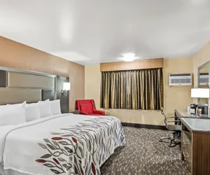Photo 2 - Red Roof Inn Yuba City Bonanza - Marysville
