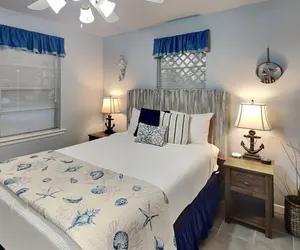 Photo 4 - Blue Seahorse