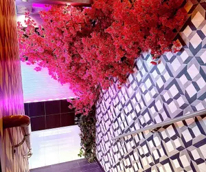 Photo 2 - Umbrella Hotel