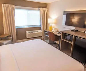 Photo 5 - Comfort Inn Battle Mountain - Midway Between Elko and Winnemucca