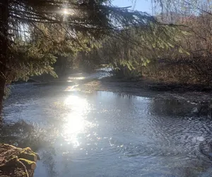 Photo 2 - Bear Bottoms at Salmon Creek