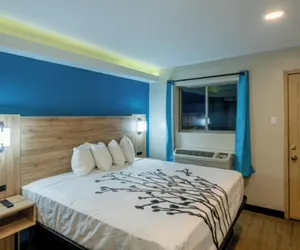 Photo 4 - Exclusivo Inn by OYO Grand Prairie, TX