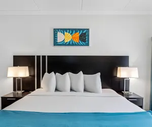 Photo 4 - OASIS BAY SUITES, Tampa, Busch Gardens, USF