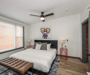 Photo 5 - Mansfield Modern Oasis