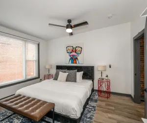 Photo 4 - Mansfield Modern Oasis