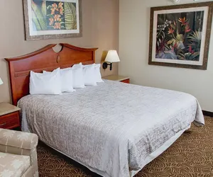 Photo 4 - Treasure Island Resort and Casino