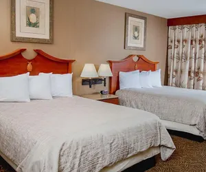 Photo 5 - Treasure Island Resort and Casino