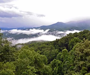 Photo 3 - Smoky Mountain High 8 Bedroom Chalet by RedAwning