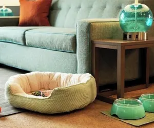 Photo 2 - Home2 Suites By Hilton Griffin