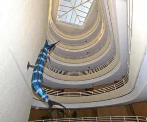 Photo 3 - East Pass Towers 111