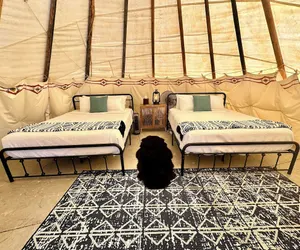 Photo 5 - Yellowstone Tipis