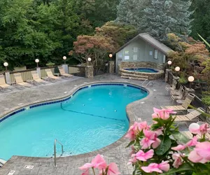 Photo 2 - 5 Star 3 bd 3ba Serenity Views w Pool Fireplace