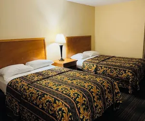Photo 4 - EXECUTIVE INN