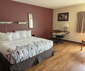 Photo 5 - Sycamore Suites