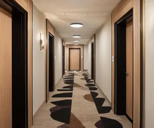 Photo 3 - Hilton Garden INN Greenville University
