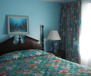 Photo 5 - Nock Apartments