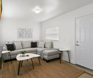 Photo 5 - NEW St Pete Retreat Newly Updated Pet Friendly