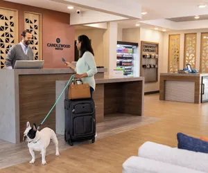 Photo 3 - Candlewood Suites Orange by IHG