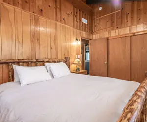 Photo 3 - The Oasis Chalet