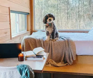 Photo 3 - Postcard Cabins Talladega Valley, Outdoor Collection by Marriott Bonvoy