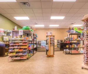 Photo 5 - 8929 Candy Palm Road