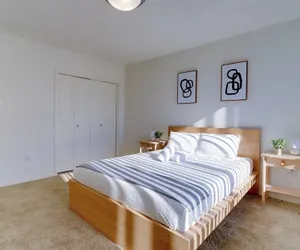 Photo 3 - Spacious 2BR Apartment in Crystal City