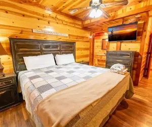 Photo 3 - The Only Tenisee 4 Bedroom Cabin