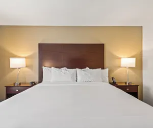 Photo 5 - Cobblestone Hotel & Suites - Foley