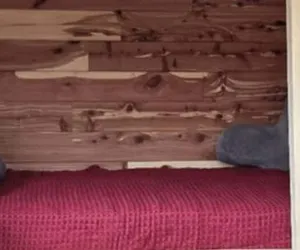 Photo 3 - #3 - Amish Built Log Cabin Fishing Hunting Camping Cabin