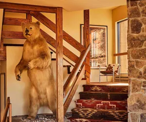 Photo 4 - Wandering Buffalo